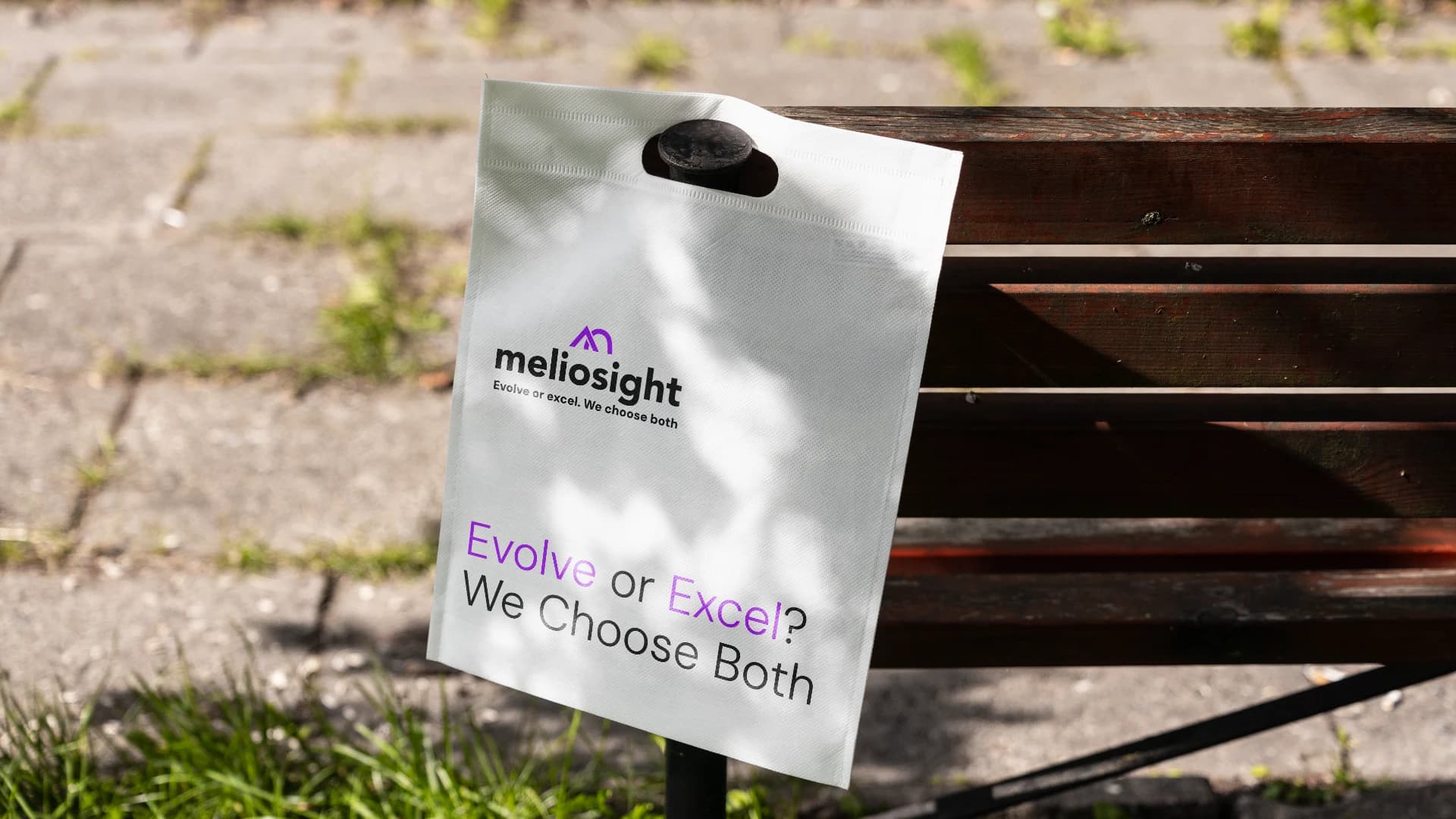 Meliosight business card and stationery system