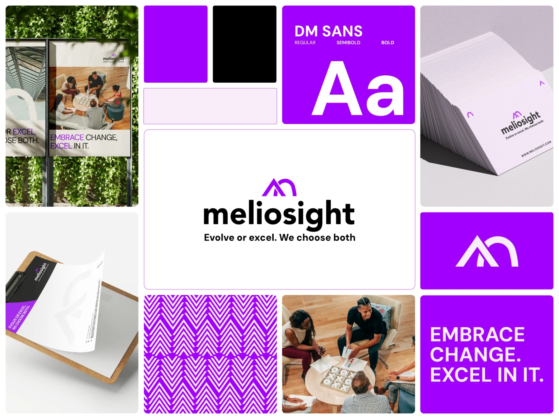 Meliosight complete brand system — final overview