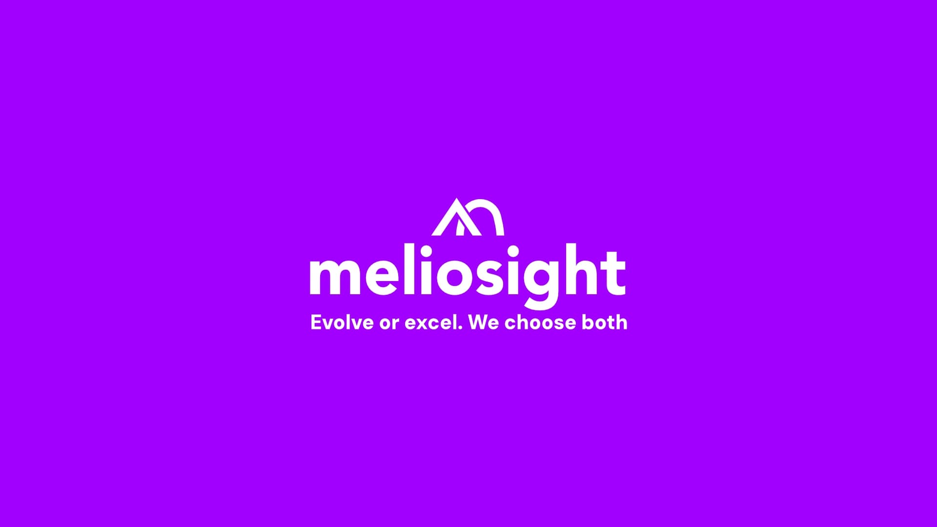 Meliosight mark exploration — early logo directions