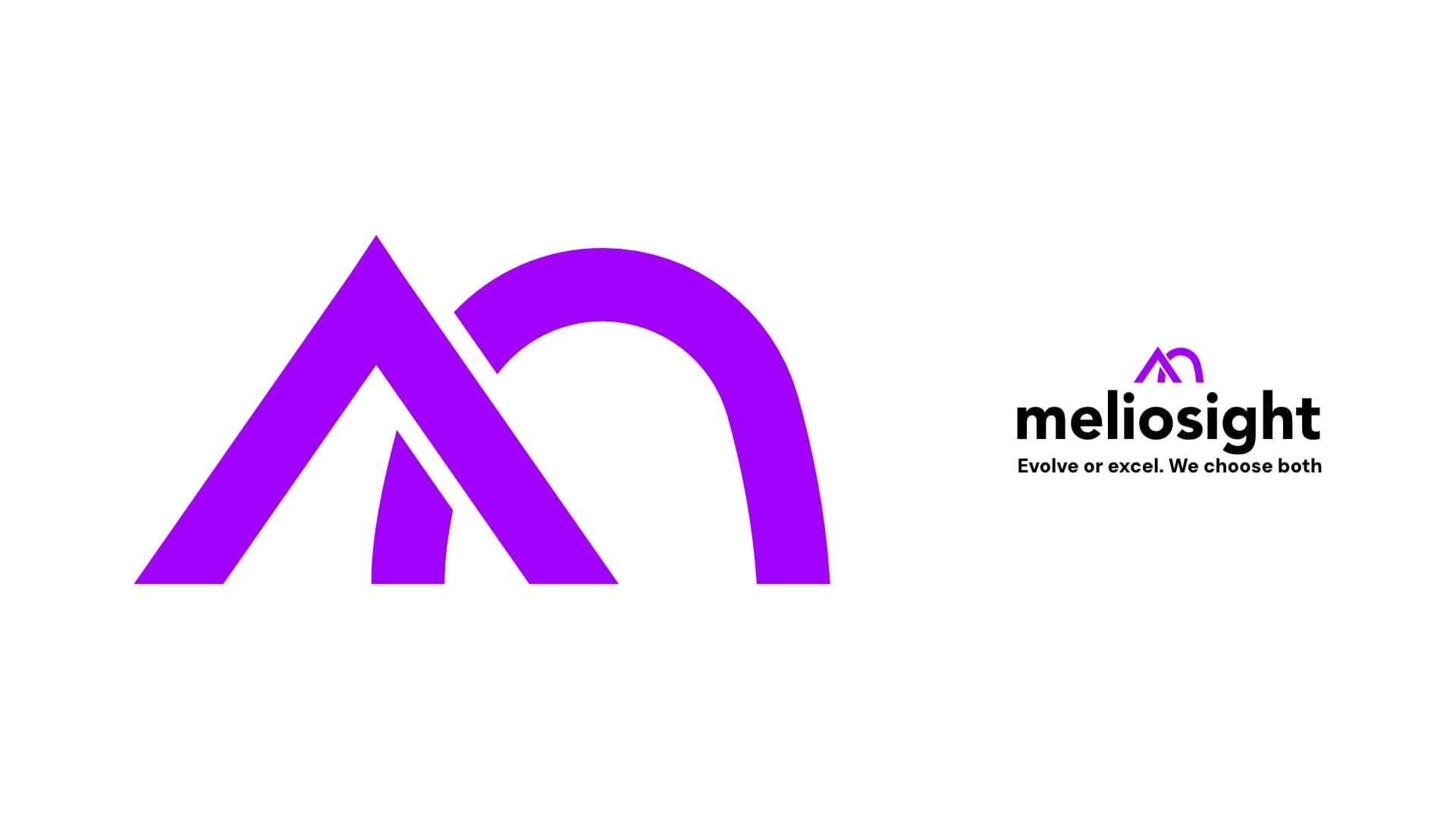 Meliosight wordmark and lockup studies