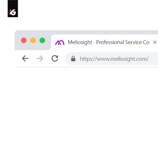 Meliosight — branding case study cover